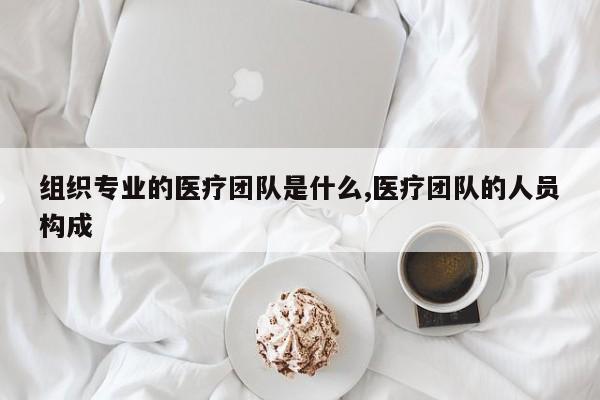组织专业的医疗团队是什么,医疗团队的人员构成